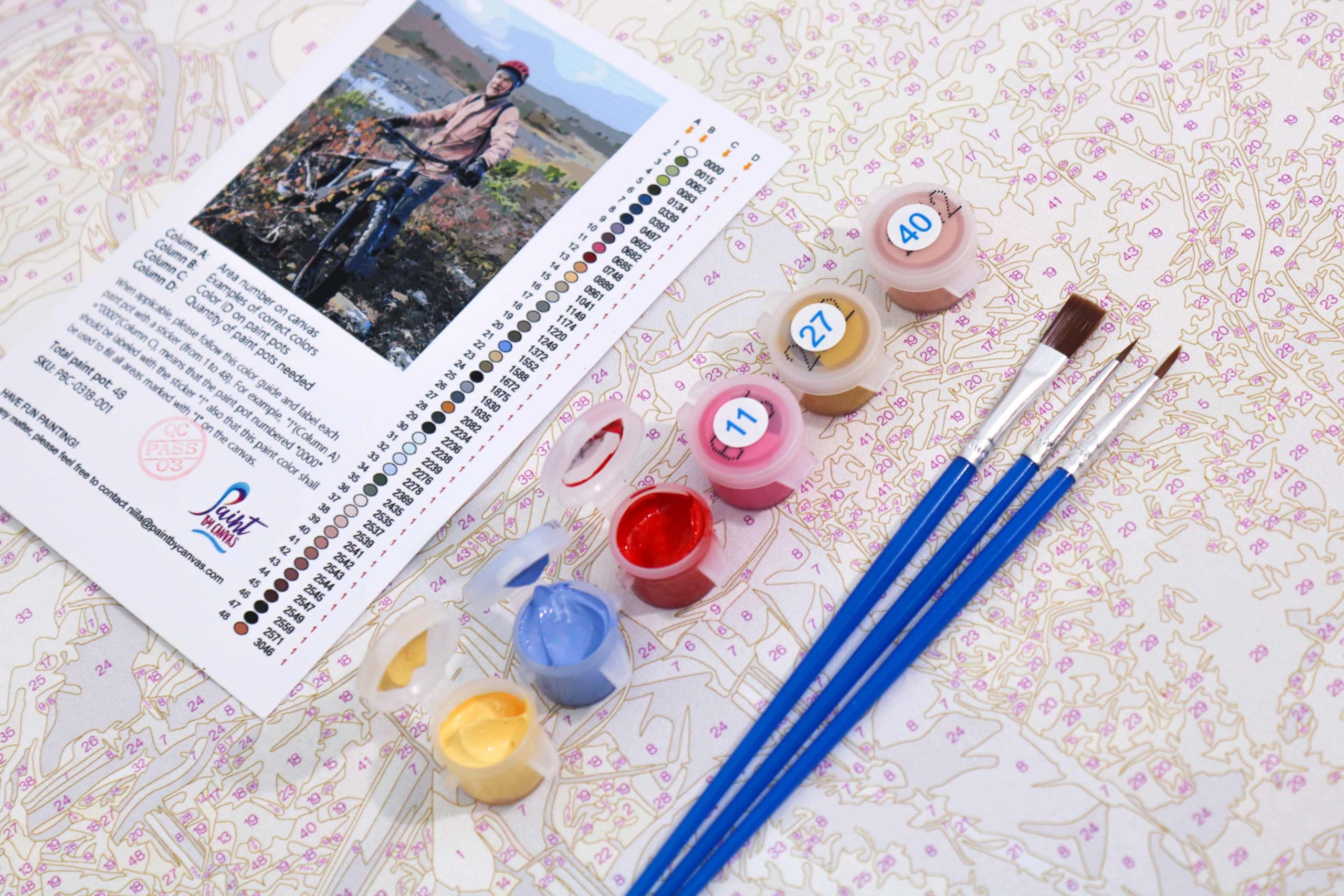 paint by numbers kit with acrylic paints