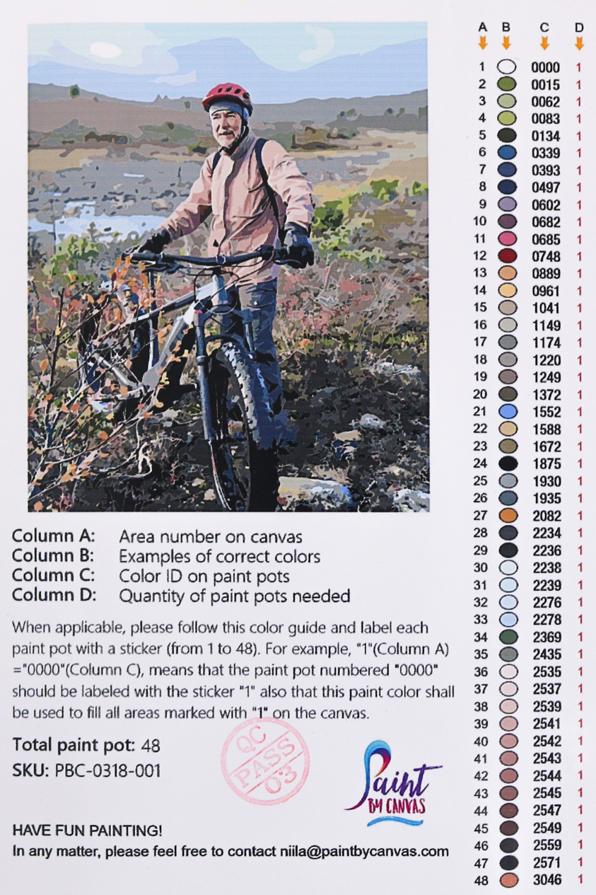 custom paint by number