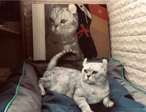 Is Color by Number Hard? Try Custom Paint by Number Kits for a Real Challenge