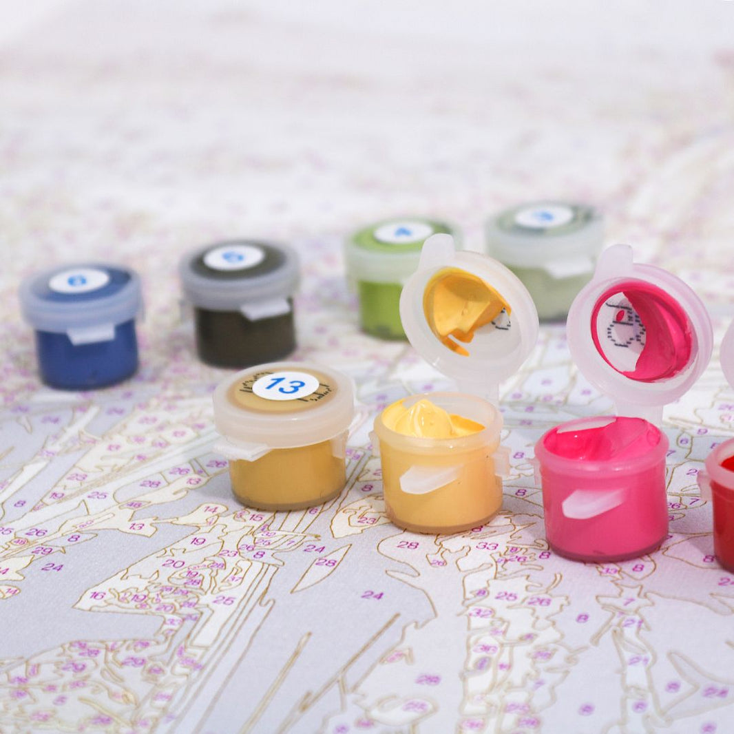 paint by numbers acrylic paints