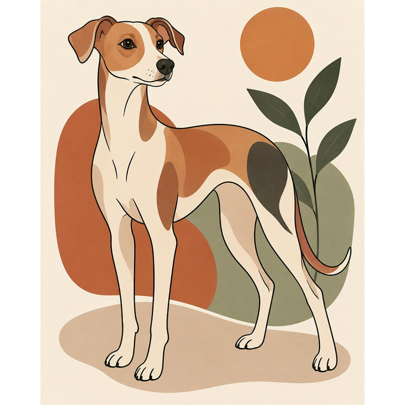 Sighthound Paint by Numbers Kit-zoom-