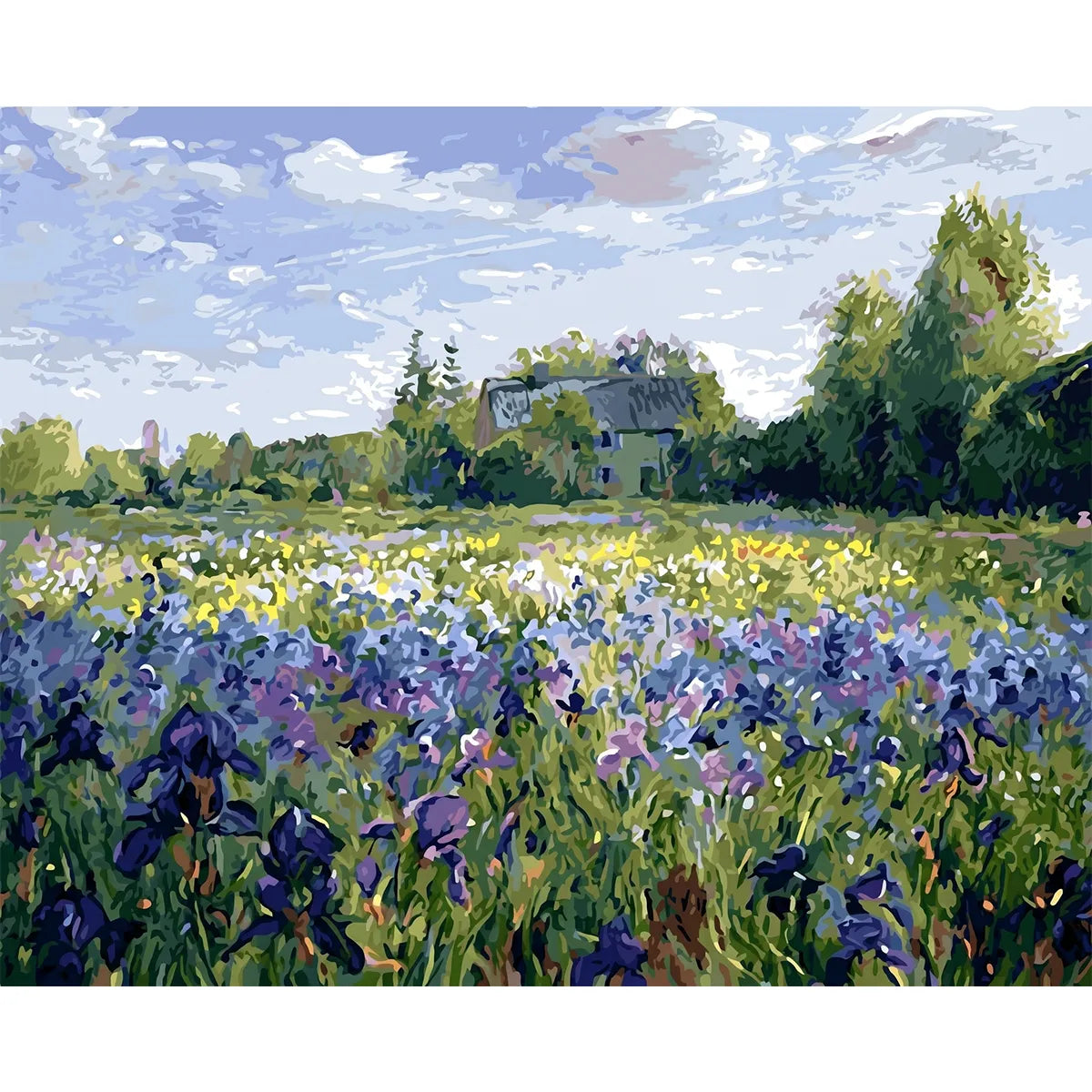 Iris Field in Bloom-zoom-2