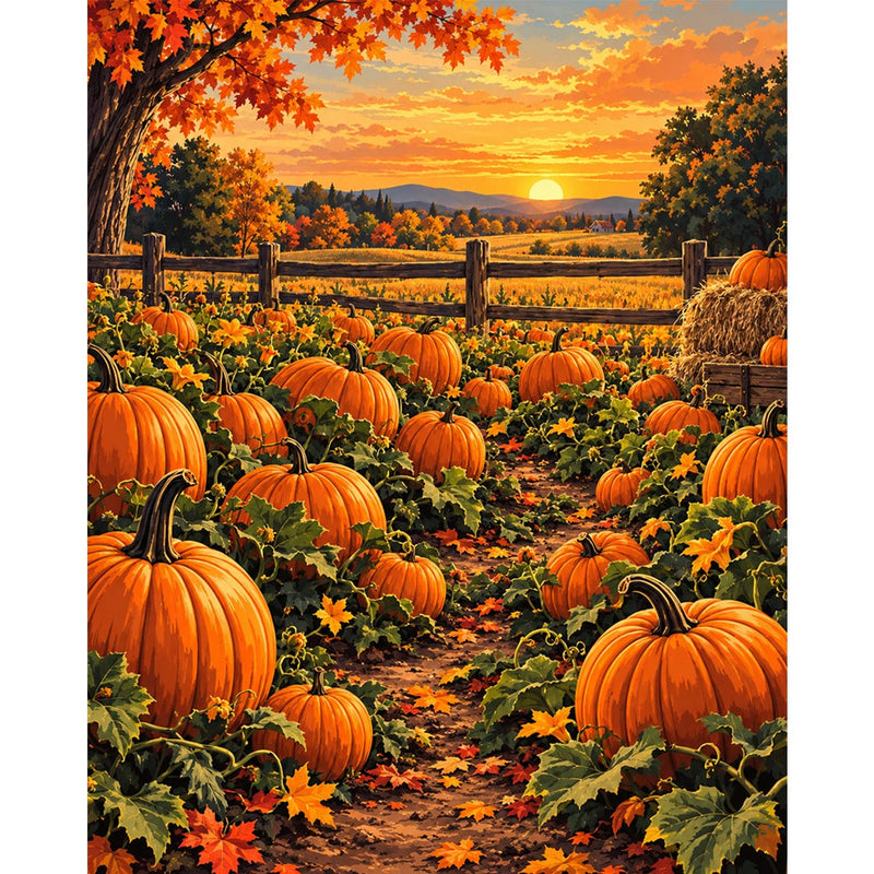 Pumpkin Patch at Sunset-zoom-