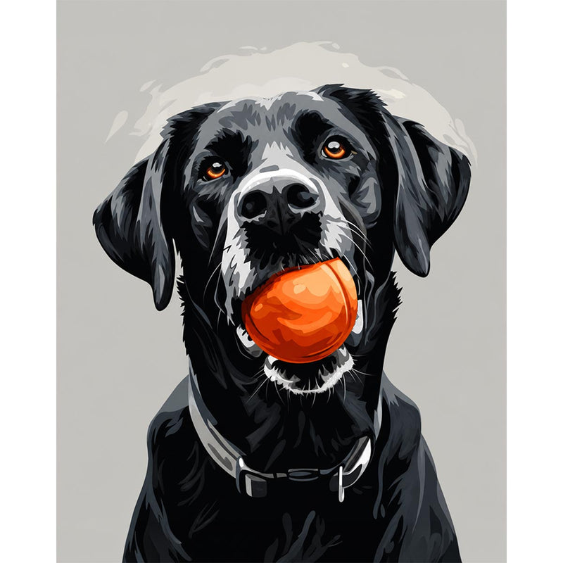 Black Lab-zoom-