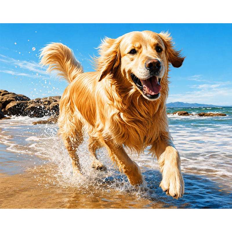 Golden Retriever-zoom-