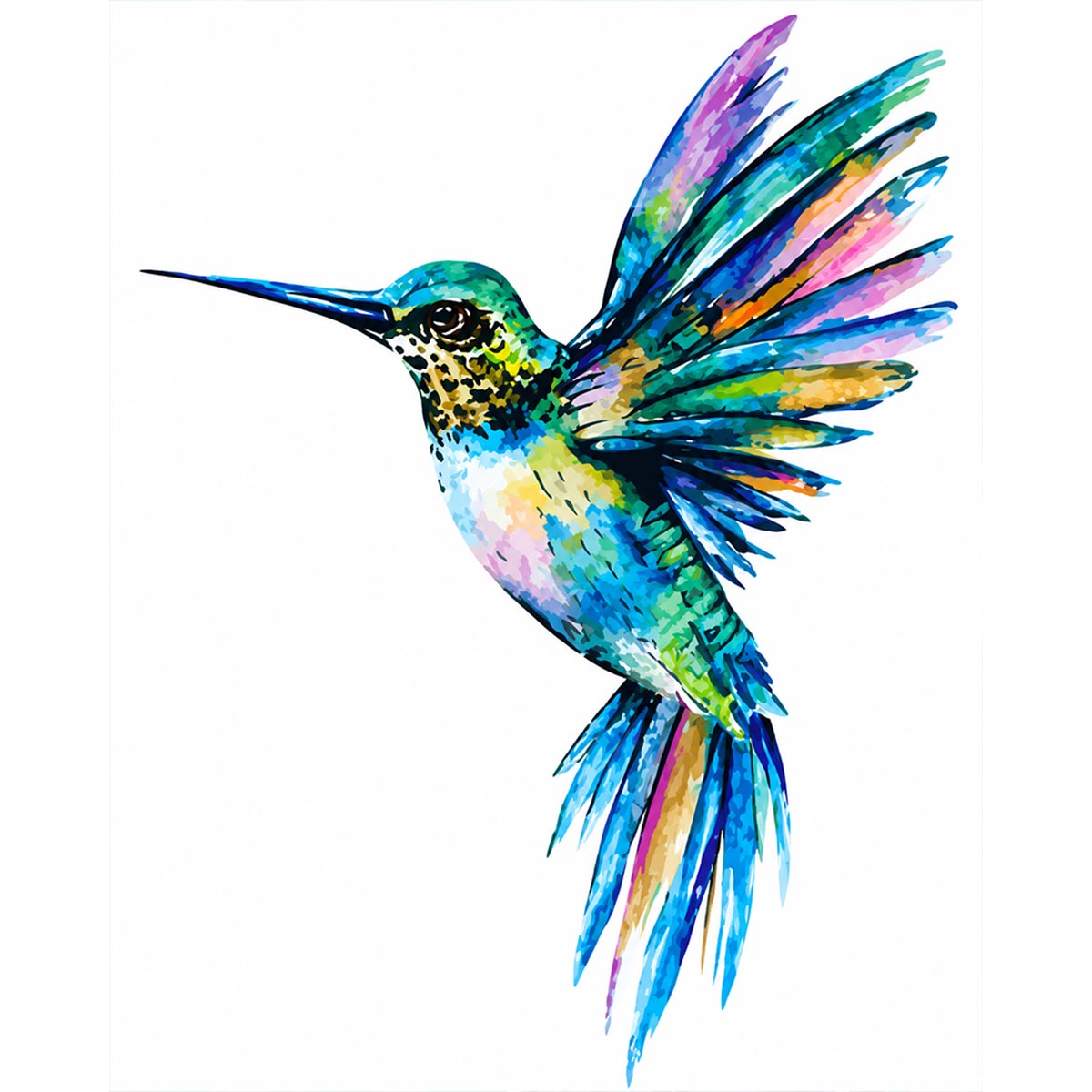 Rainbow Hummingbird Paint by Numbers Kit-2