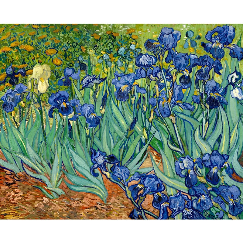 Van Gogh Irises-zoom-