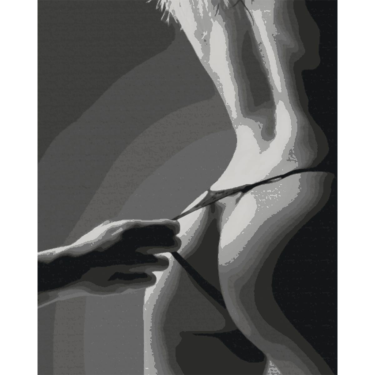 Black and White Nude Back Paint by Numbers Kit-zoom-2