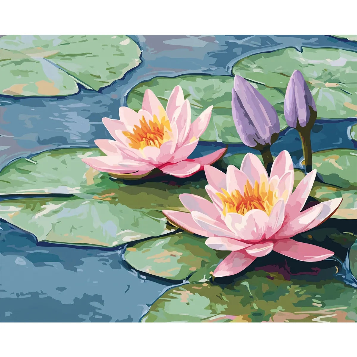 Pink Water Lilies in Bloom-zoom-2