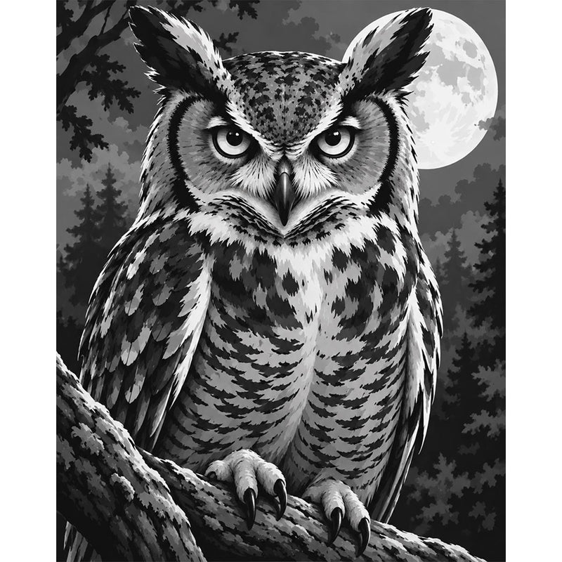 Night Owl Paint by Numbers Kit-zoom-