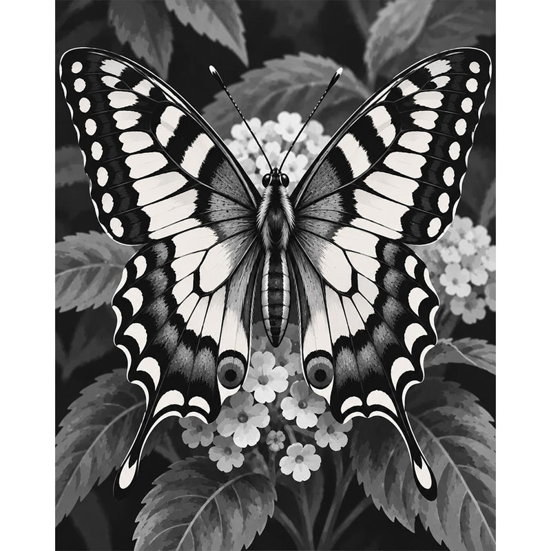 Black and White Butterfly Paint by Numbers Kit-zoom-