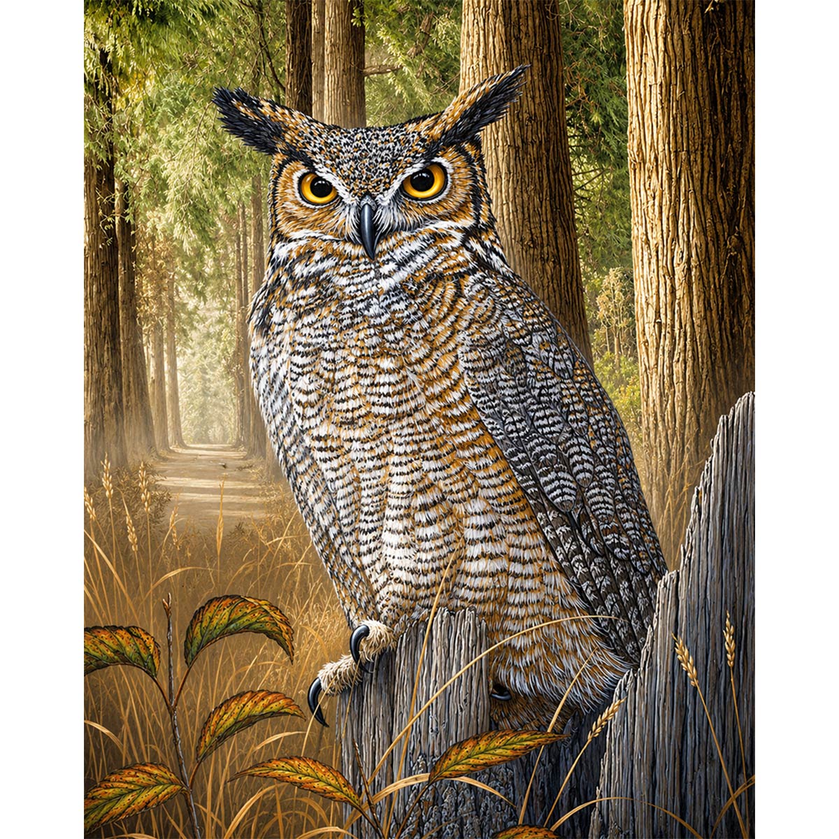 Great Horned Owl-zoom-2