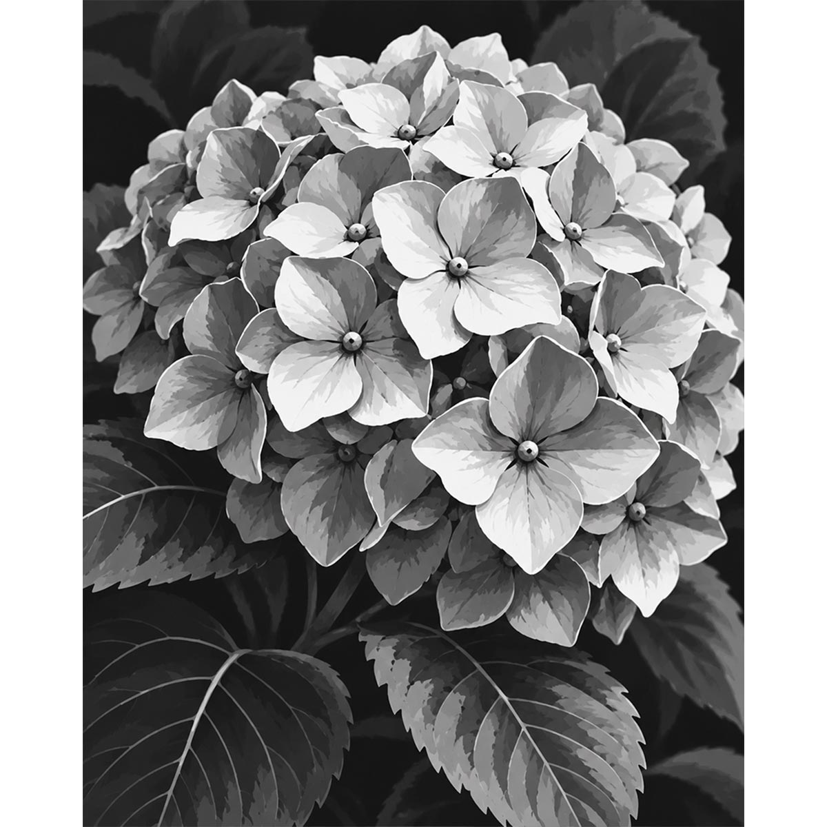 Black and White Hydrangea Paint by Numbers Kit-2