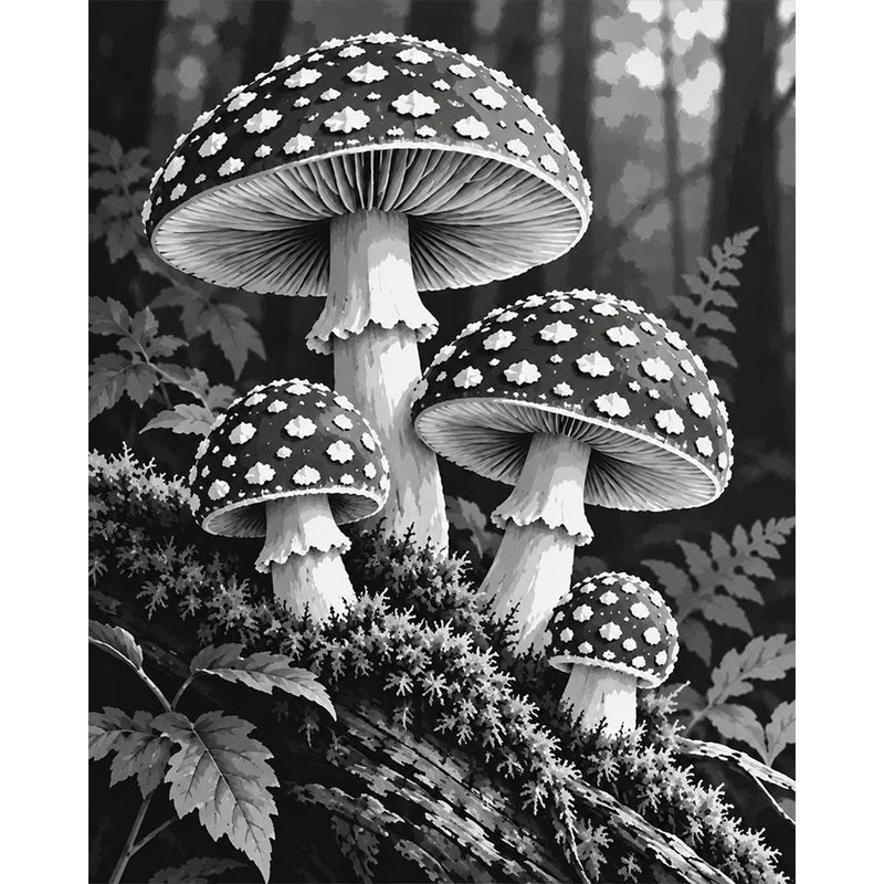 Black and White Mushroom Paint by Numbers Kit-zoom-