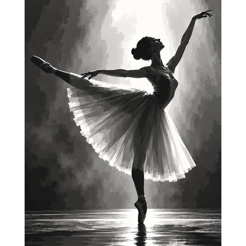 Black and White Ballerina Paint by Numbers Kit-zoom-