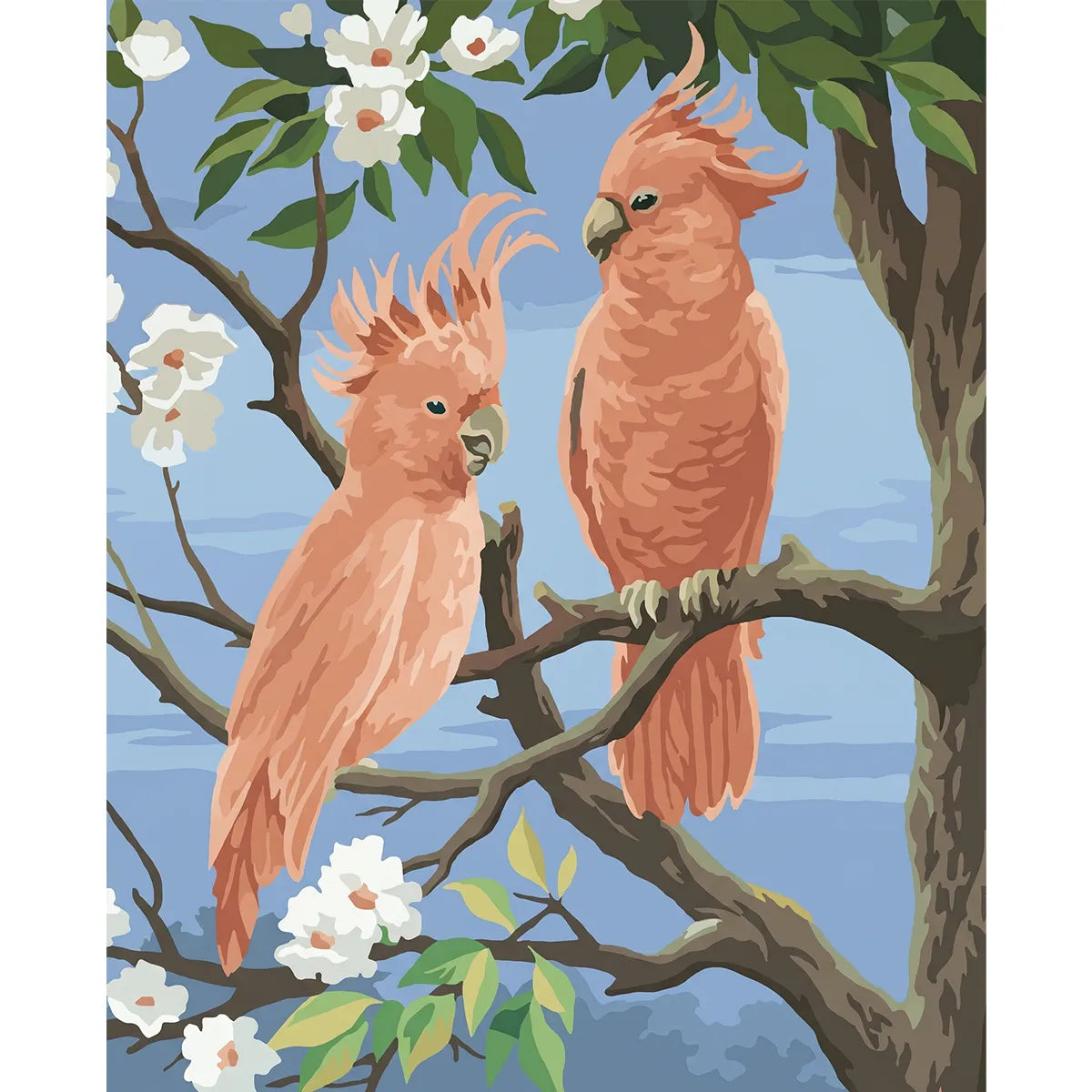 Pink Cockatoos-zoom-2