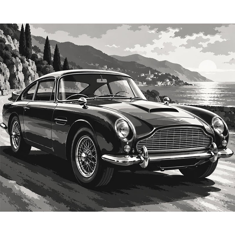 Black and White Classic Car Paint by Numbers Kit-zoom-
