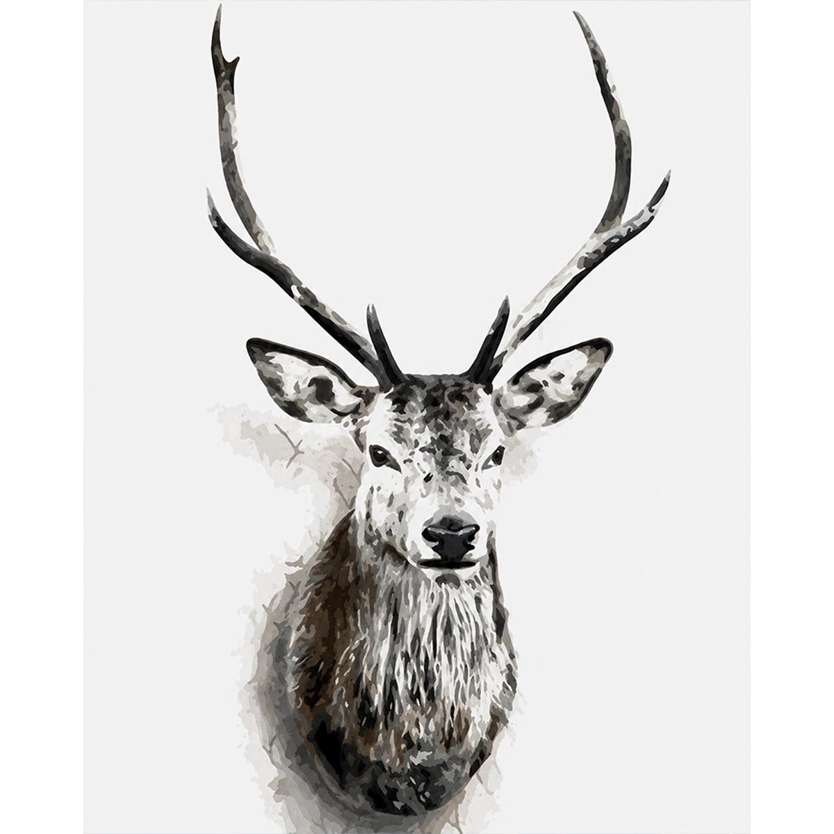 Stag