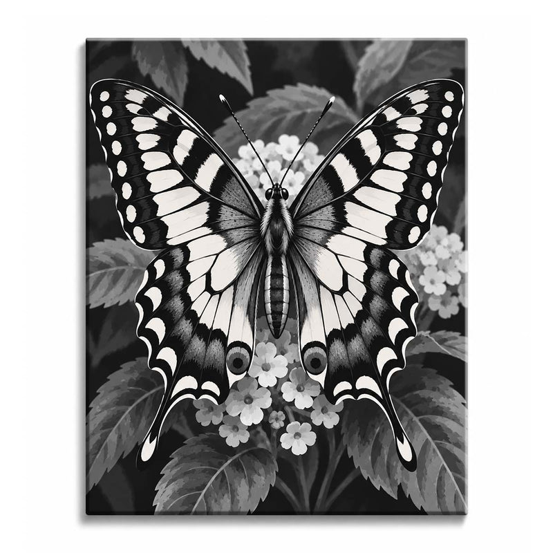 Black and White Butterfly Paint by Numbers Kit-zoom-