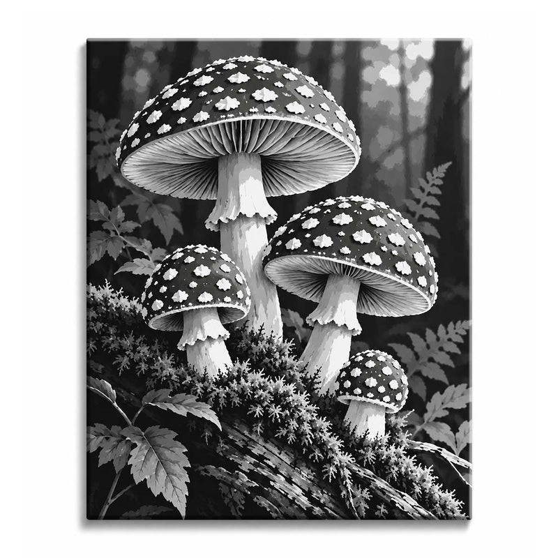 Black and White Mushroom Paint by Numbers Kit-zoom-