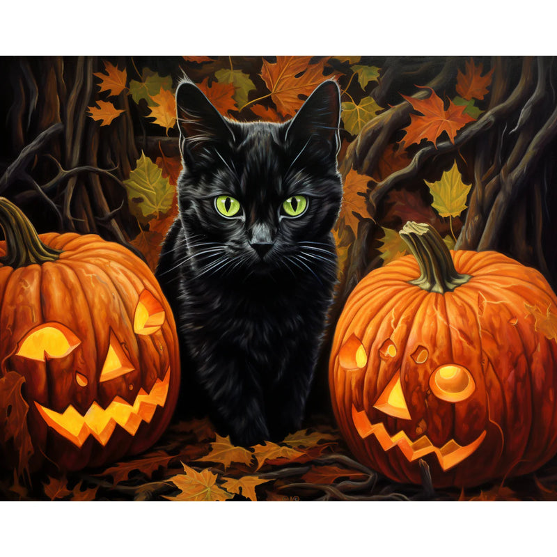 Black Cat with Pumpkins Paint by Numbers Kit-zoom-