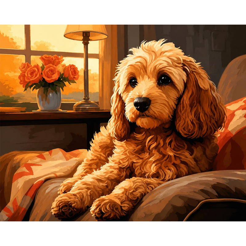 Cockapoo-zoom-
