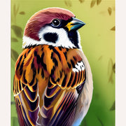 Colorful Sparrow Paint by Numbers Kit