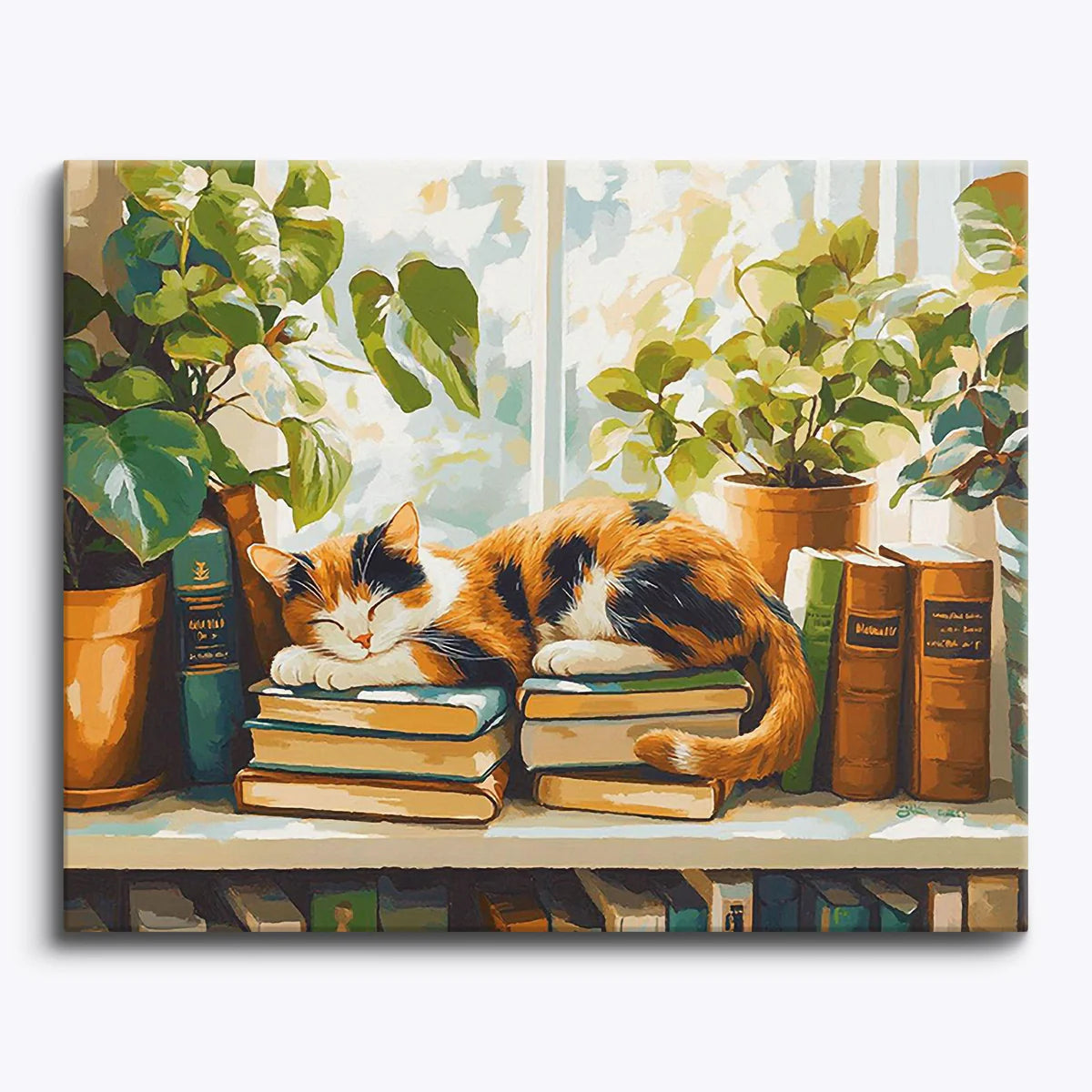 Cozy Cat Nap on Books Paint by Numbers Kit