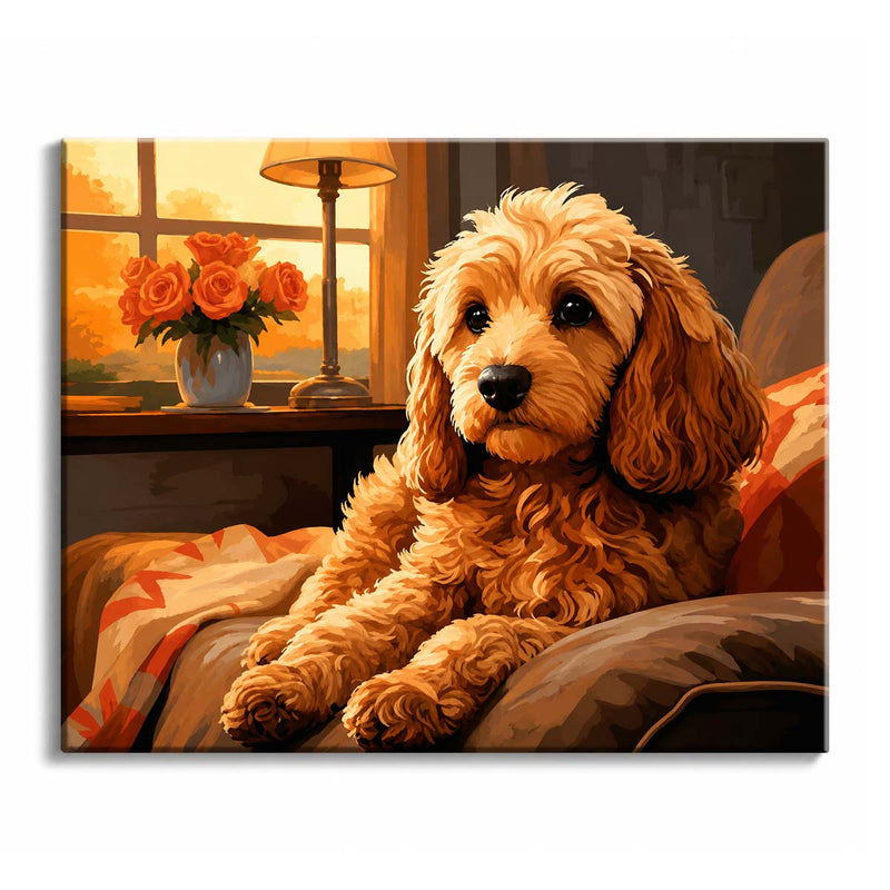 Cockapoo-zoom-