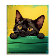 Curious Black Kitten Paint by Numbers Kit