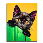 Curious Black Cat Paint by Numbers Kit