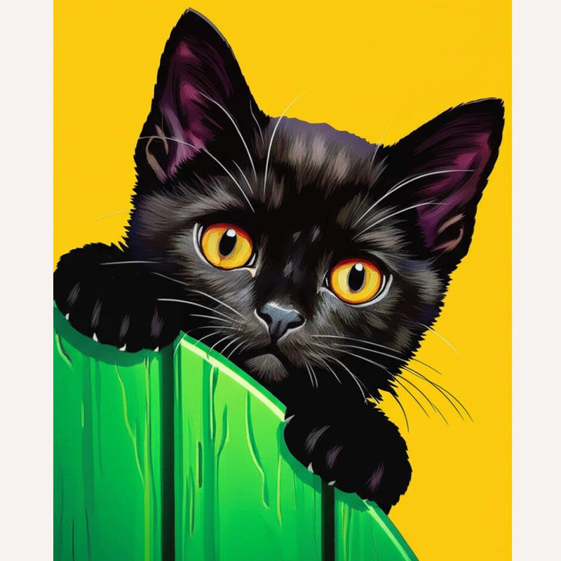 Curious Black Cat Paint by Numbers Kit-zoom-