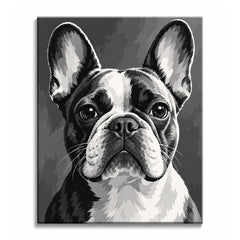 A French bulldog with tall ears and large dark eyes looks straight ahead against a gray backdrop, in a black and white paint by numbers design.