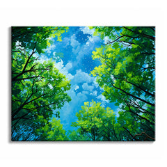 Green treetops reach in from every edge around an open patch of blue sky with white clouds, seen from directly below, in a paint by numbers design.