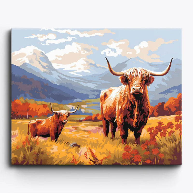 Highland Cows-zoom-