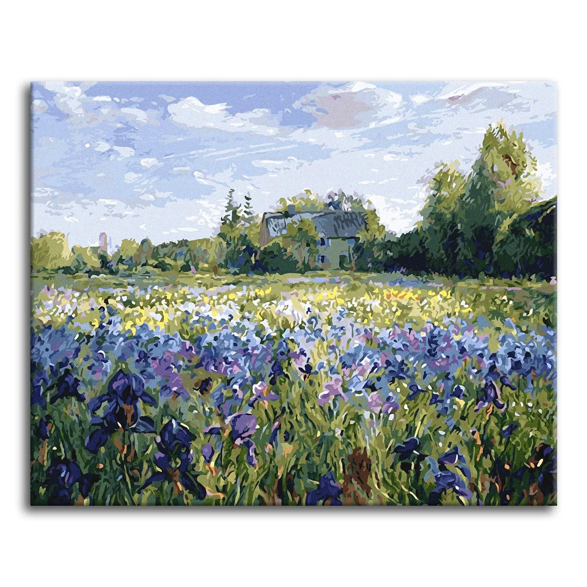 An impressionist paint by numbers scene of a blue and violet iris field stretching toward a country cottage beneath a cloud-scattered summer sky.