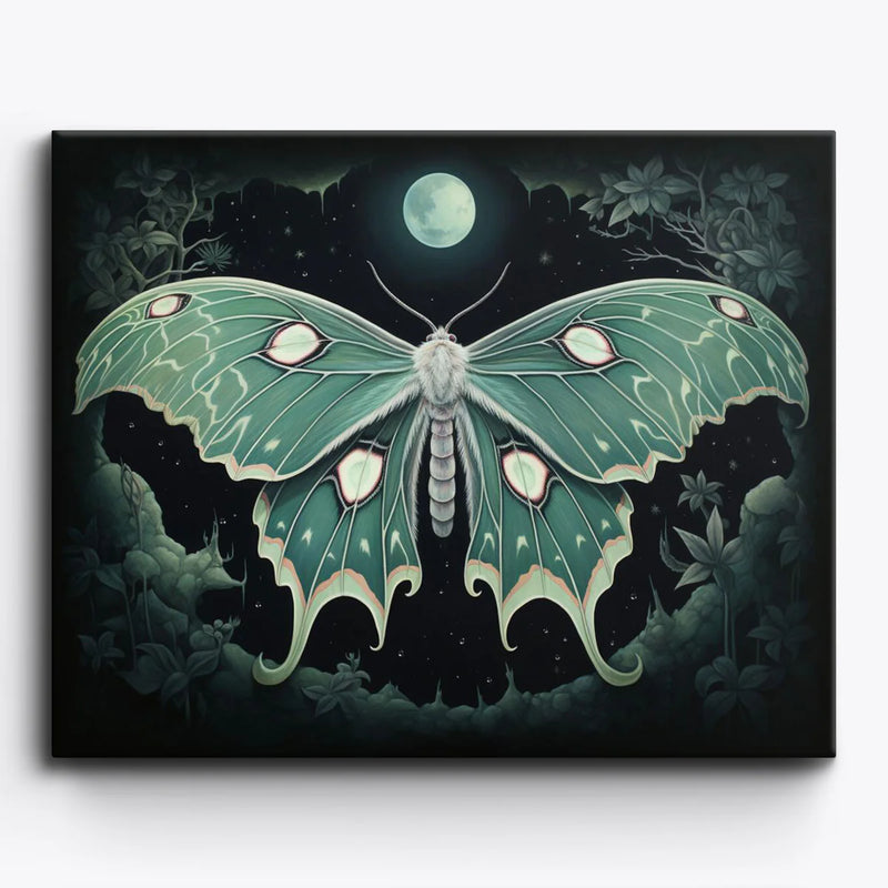 Luna Moth Night Sky Paint by Numbers Kit-zoom-