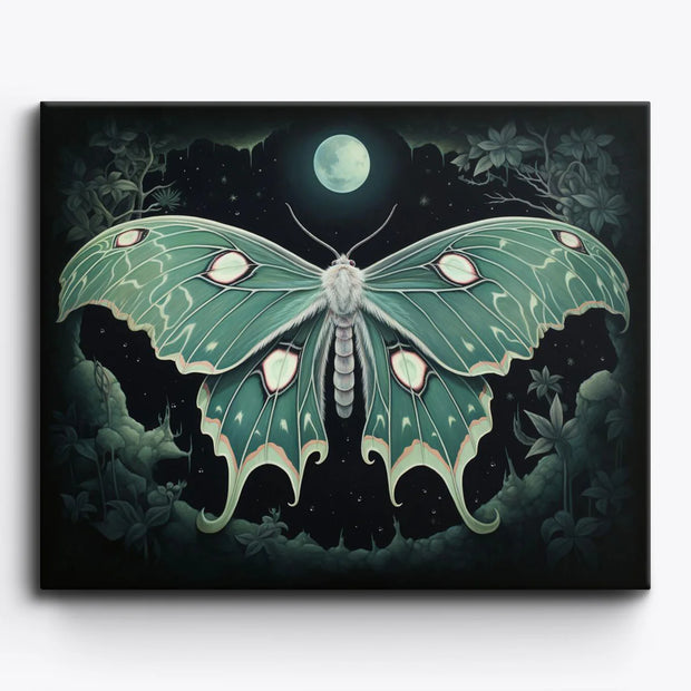 Luna Moth Night Sky Paint by Numbers Kit