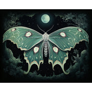 Luna Moth Night Sky Paint by Numbers Kit