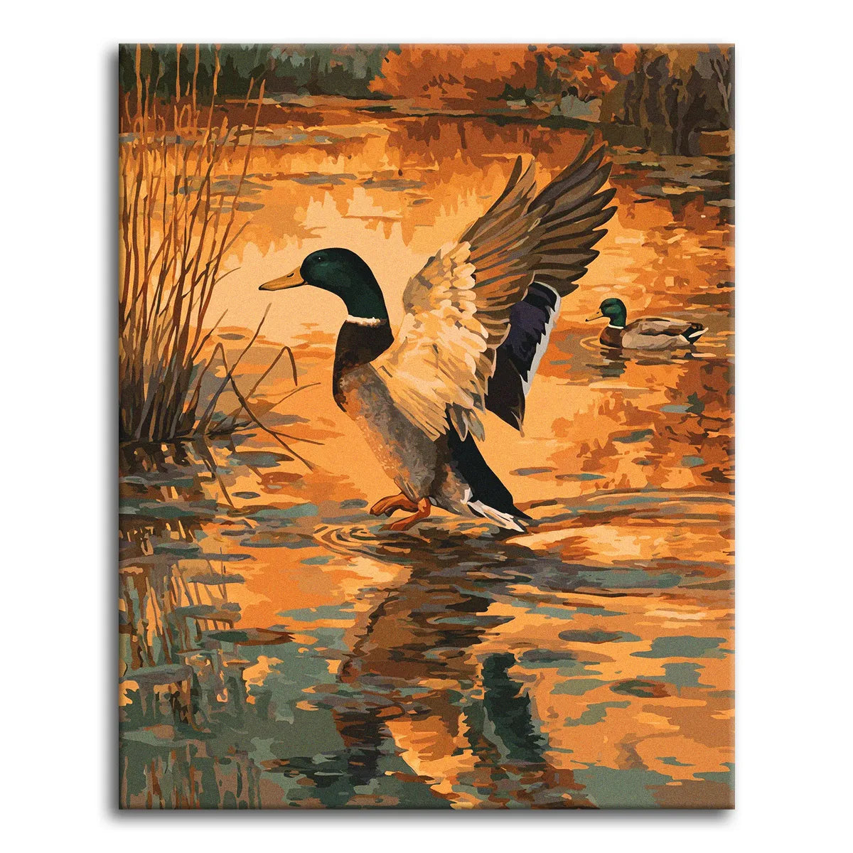 A paint by numbers scene of a mallard drake landing on a golden sunset pond with wings spread, reeds and a second duck behind.