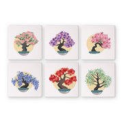 6 Mini Painting Set – Paint by Numbers Bonsai Trees
