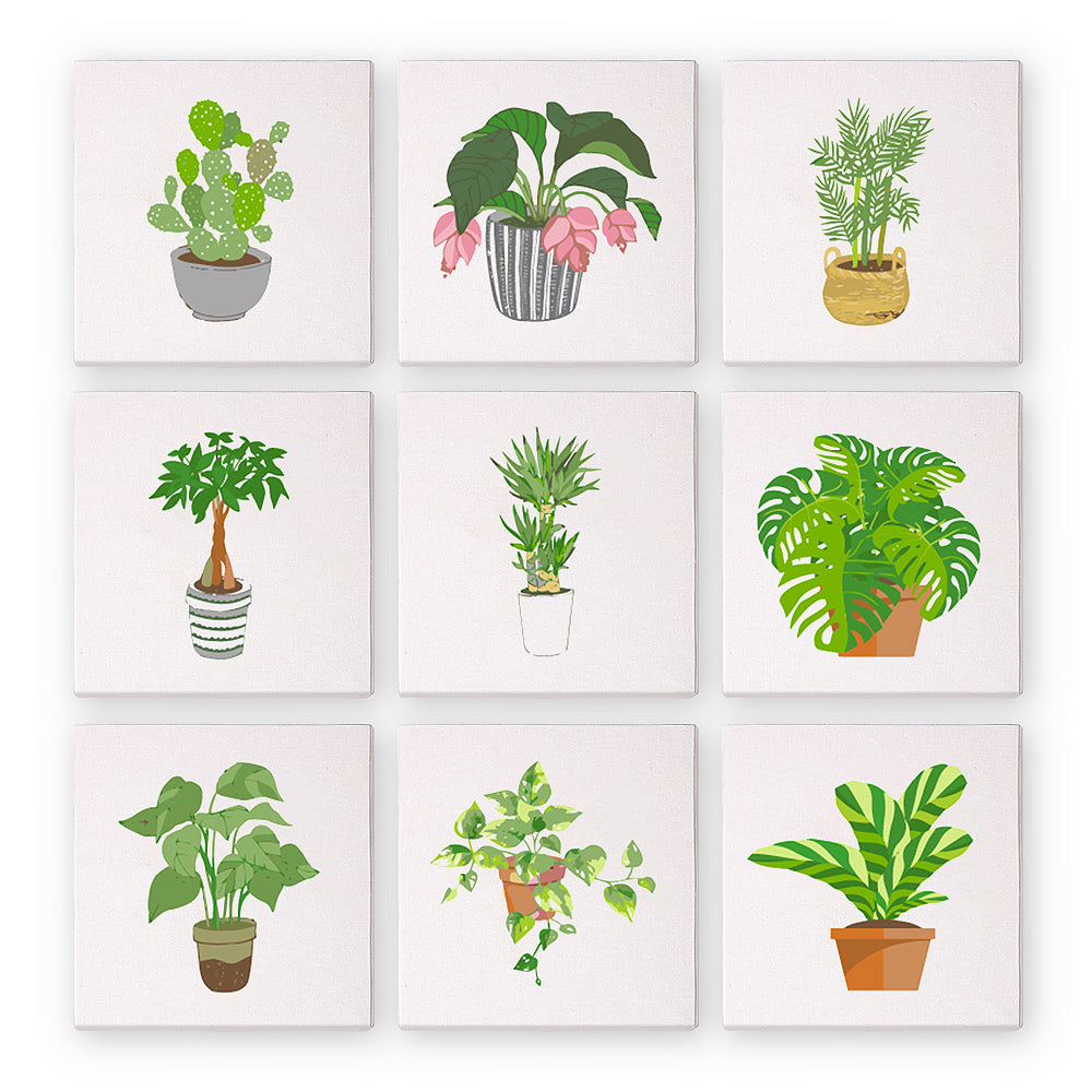 9 Mini Painting Set – Paint by Numbers Houseplants-1