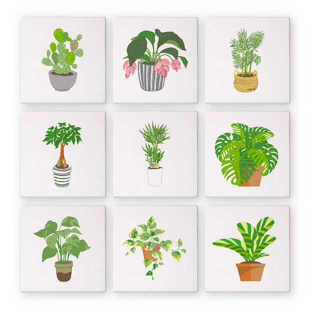 9 Mini Painting Set – Paint by Numbers Houseplants