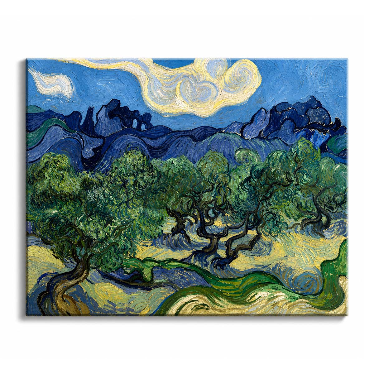 A Van Gogh olive grove paint by numbers design showing twisted trees, blue hills and one swirling cream cloud.