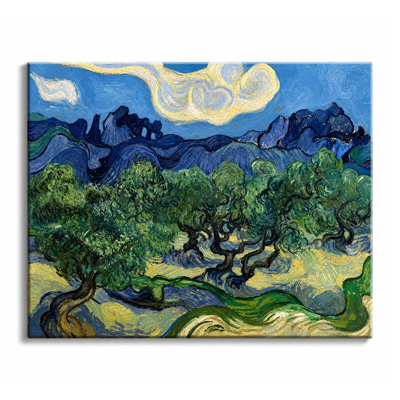 Olive Trees-zoom-