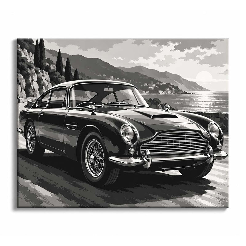 Black and White Classic Car Paint by Numbers Kit-zoom-