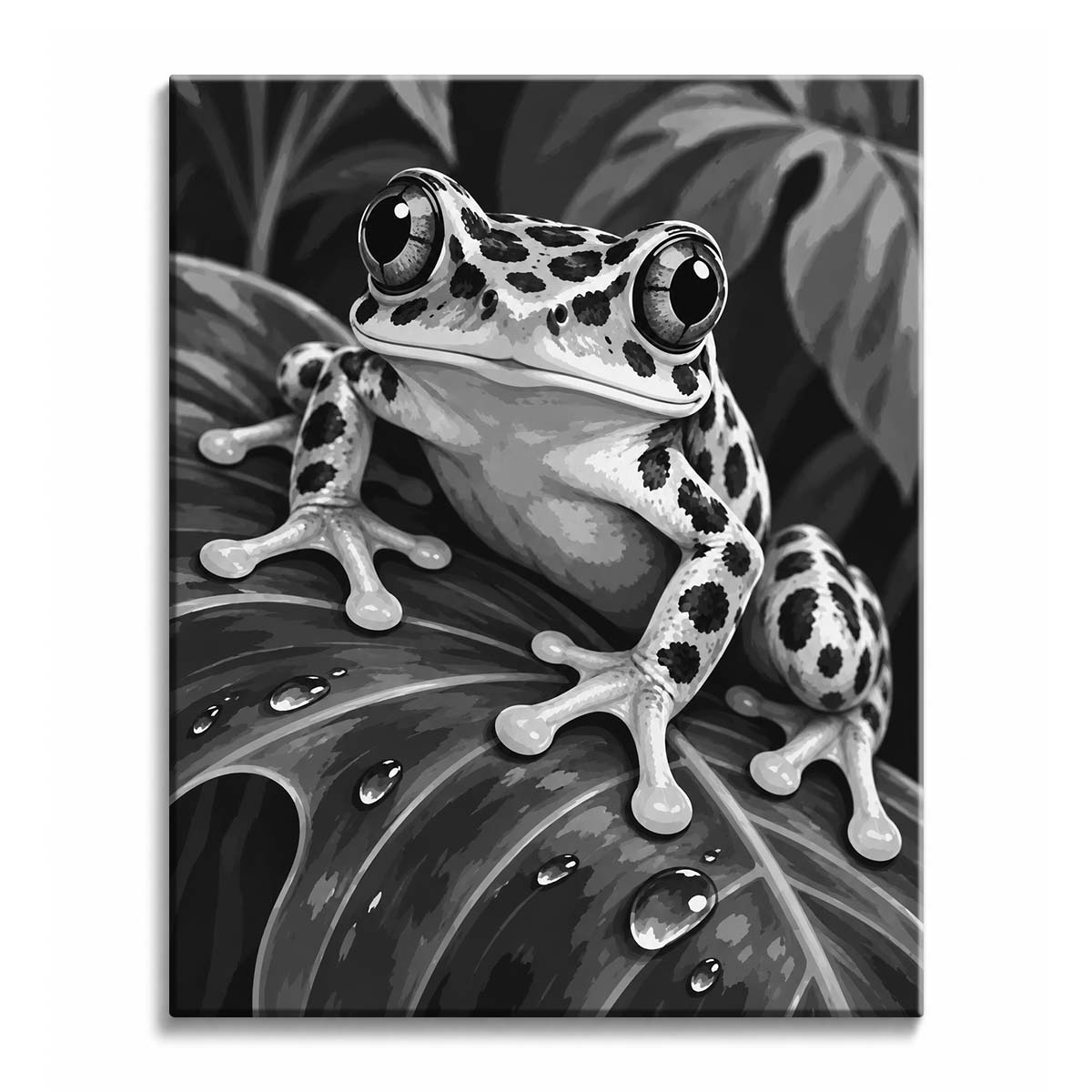 On a dew-covered jungle leaf, a spotted frog with wide eyes sits upright, in a black and white paint by numbers design.