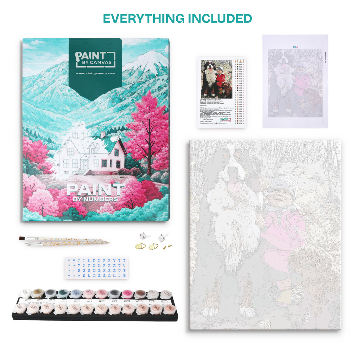 Complete paint by numbers kit with numbered canvas, acrylic paint pots, brushes, reference image, color guide, stickers, and packaging.