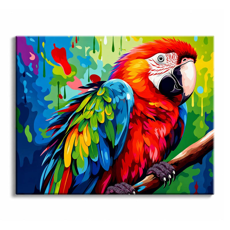 Macaw-zoom-