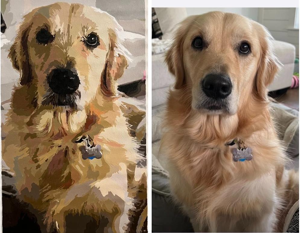 custom paint by numbers art made of dog